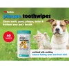 Petkin Cat and Dog Dental Wipes, 40 Wipes (Fresh Mint)