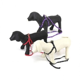 Lumina D Dog Set Color Pop Harness Collar Leash for Walks Outings Color Pop Harness Set Red