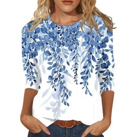 3/4 Length Sleeve Womens Tops Plus Size 3/4 Sleeve Blouse Women Spring Summer Travel Loose Fit Comfy Tee Shirts Women's Floral Print Crew Ncek Top Blue L