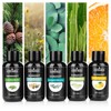 Sample set sauna fragrance, sauna pour concentrate, 6 bottles of