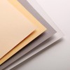 Clairefontaine Pastel Mat 96016C Drawing Pad (12 Sheets, 18 x