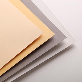 Clairefontaine Pastel Mat 96016C Drawing Pad (12 Sheets, 18 x 24 cm, 360 g, with 4 Transparent Dividers with Special Cardboard Ideal for Pastel and Chalk) Light Yellow, Yellow, Dark Grey and Light