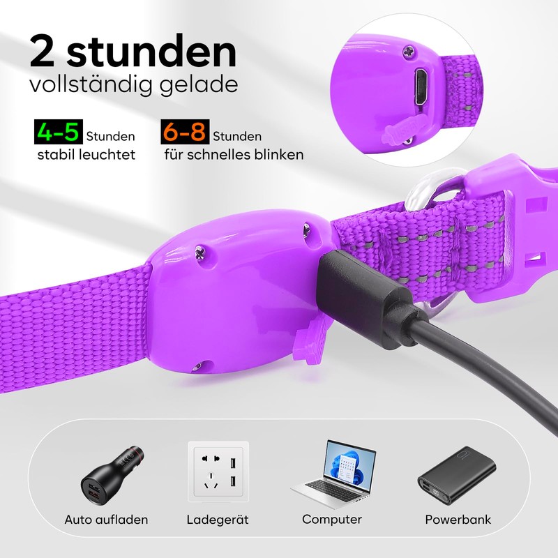 LED Luminous Dog Collars (Purple, XS)