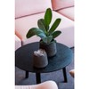 Petite Black Planter 6" H x 7" - Black Washed