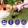 MATANA 50 Premium Clear Hard Plastic Cups, Plastic Party Cups