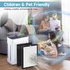 4 Pack K2 Replacement Filter Compatible with LUNINO K2 Air