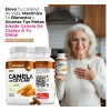 Bioherb Canela Ceylán 100 Pura Certificada Origen 180 Cápsulas Alta
