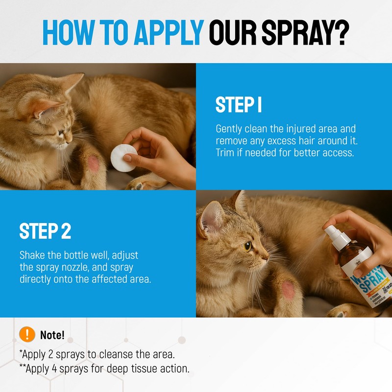 Cat Wound Care Spray with Silver – Wounds, Rashes, Hot