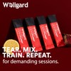 Wellgard Lean Pump - Advanced Pre Workout Powder, Pump Matrix