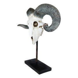 Ebros Realistic Bighorn Sheep Ram Head Skull Sculpture On Museum Pole Stand 18.5" High Rams Fossil Faux Taxidermy Rustic Western Decor Sculpture Gallery Quality Statue