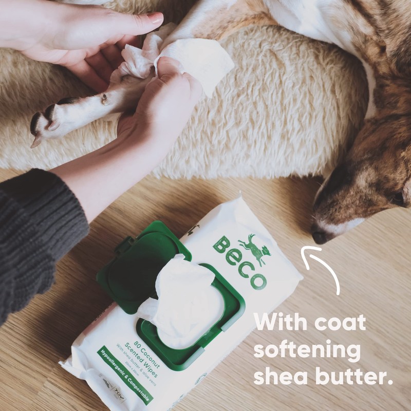 Beco Bamboo Dog Wipes - Plastic Free 80 Wipes, Coconut
