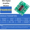 LAOMAO PAM8403 Mini Amplifier Module for DIY Audio - 5V