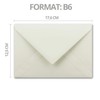NEUSER PAPIER 75x envelopes B6 with gold lining 12.5 x