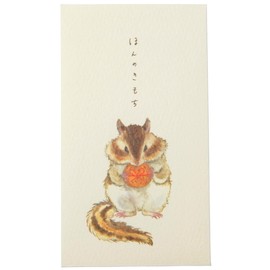 Arisaka Senzando Pochi Pouch, Set of 3, Stickers, Chipmunks and Walnuts, Squirrel, Small Pochi