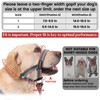 ANDA Gentle Leader Ultra-Light No-Pull Dog Headcollar: Adjustable, Breathable Comfort,