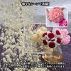 Charmoon Pearl Chain Ribbon 30m Beads Hair Ornaments Crafting Packaging