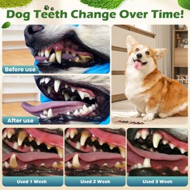 MuuDew Dog Teeth Cleaning Powder, Dog Dental Powder and Cats Breath Freshener, Bad Breath & Tartar Remover for Dogs, Natural Herbal Blend of All Breeds, 200 Grams(90-Day Supply)