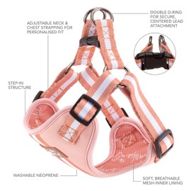 Charlie + Co, Adjustable Step in Dog Harness, Comfortable Breathable Secure, Simple & Easy to Fit (Life's a Peach, 3)