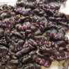 14a Grade Human Hair Bundles Bone Straight Original Burmese Curly