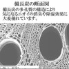 Binchotan Honpo Interior Binchotan Stylish Hand-woven Oval Shape Set of