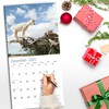 RED EMBER Tree Goats 2025 Wall Calendar 12 Month |