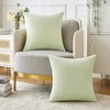 MIULEE Pack of 2 Sage Green Throw Pillow Covers 18x18