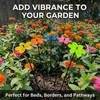 5pcs Garden Flower Stakes, Daisy-Style
