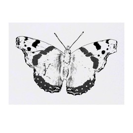 'Red Admiral Butterfly' Temporary Tattoo - Water Resistant, Skin-Safe, Non-Toxic Transfer (TO00064685)