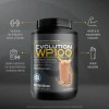 Wp100 Bote De Frapuccino De 1400 G