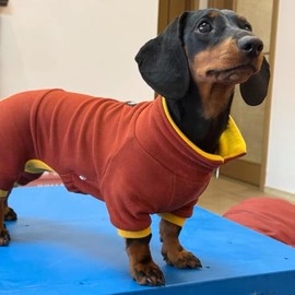 Suéter de Cuello Alto para Perro Salchicha, Cuello Polo Ajustable con Cremallera, Forro Polar Doble cálido para Cuatro Patas, Ropa elástica para Perros Salchicha Miniatura (Rojo, Grande)