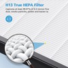 4 Pack HAP602 Replacement Filter Compatible with ECOSELF HAP602 /
