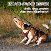 PUPTECK Escape Proof Dog Harness with Padded Handle, No Pull