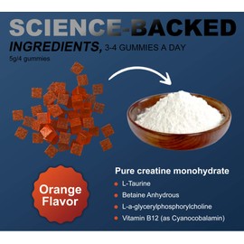 DLNIA 120 Creatine Monohydrate Gummies for Men & Women, Vegan-Friendly, Sugar-Free, & Tasty Chewables - Instantized Creatine Gummies (120 Count (Pack of 1), Orange)