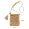CHIC DIARY Small Straw Bag Women's Straw Shoulder Bag Summer