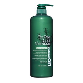 Daeng Gi Meo Ri-Tea Tree Cool Shampoo, Tea Tree Oil and Aloe Vera Extracts give a Refreshing Feeling to Oily Hair, Moisture to Dry Hair, Soft and Mild Cleansing Effect, 1000ml