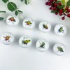 JamJam 1.5" 8 PCS Insect Cicada Cabinet Ceramics Drawer Knob