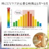 Tokko Moist UV Base SPF 30 Cosmetics Summer Sunscreen Makeup