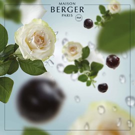 Lampe Berger Scents Paris All Fragrances to Choose from within Germany, 500 ml