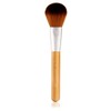The Body Shop [Genuine] Face & Body Brush