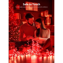 Red Christmas Mini Lights, 39Feet 100 LED Red String Lights with 8 Lighting Modes, Connectable Valentine's Lights for Indoor Outdoor Valentine's Day Garland Wreath Holiday Decoration, White Wire