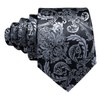 Barry.Wang Mens Silk Paisley Tie Set Black Silver Necktie Pocket