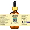 Devprayag Pure Calamus Essential Oil (Acorus Calamus) with Glass Dropper