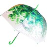 Clear Bubble Umbrella, Green Clear Umbrella, Auto Clear Umbrella, Dome
