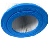 Pentair R173216 150 Square Feet Cartridge Element Replacement Clean and