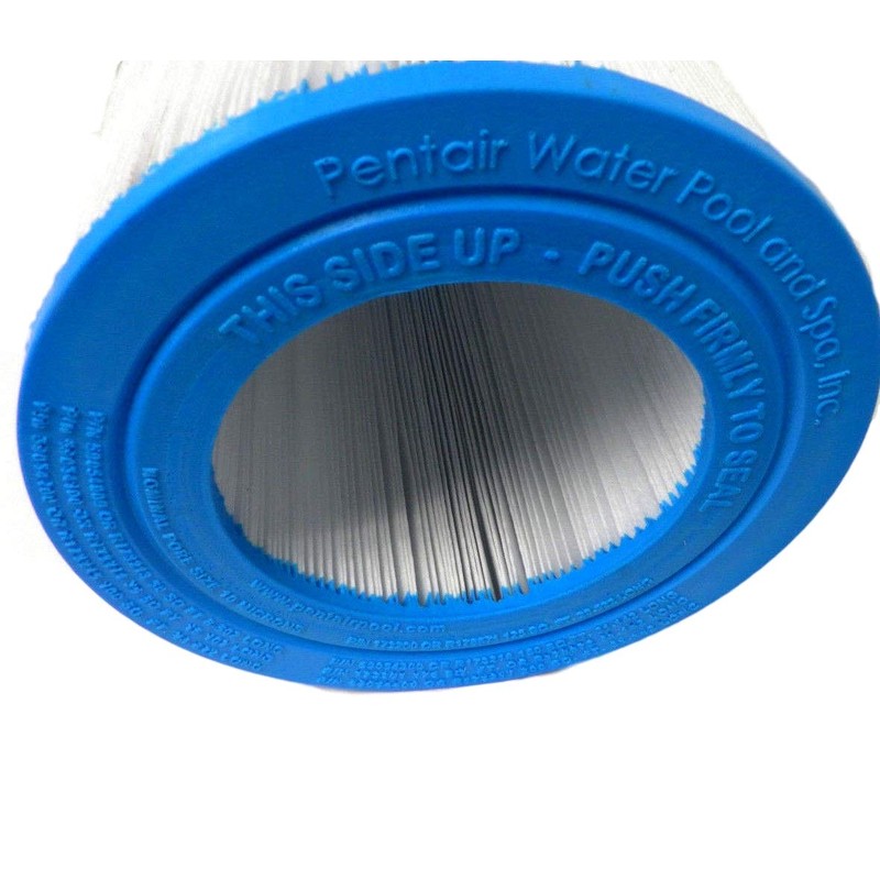 Pentair R173216 150 Square Feet Cartridge Element Replacement Clean and