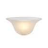 Aspen Creative 23505-01 Replacement Frosted Glass Shade for Medium Base