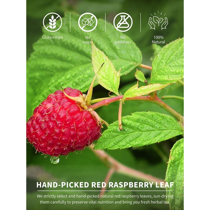 TeeLux Raspberry Leaf Tea Bags 60 Count, Pure Natural Raspberry