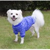 HuaLiSiJi Dog Jumper, Large Dog Jumper, French Bulldog, Warm and