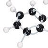 Molecular Model Kit Student Teacher Organic Inorganic Chemistry Learning Tool