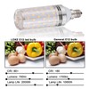 MDee 3000K E12 LED Bulbs, 6W 700LM Warm Light, 6-Pack